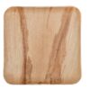 Clean Earth Goods 9” Square Palm Leaf Plates - Pack of 25 - Disposable, Compostable, Natural, Tree Free, Sustainable, Eco-Friendly - Fancy Rustic Party Dinnerware and Utensils Like Wood, Bamboo 20 81OVjhcfIOL