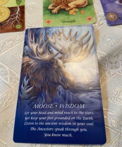 Spirit of the Animals Oracle 90 81OYhtNCmzL