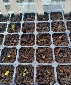 Alternative view of Miracle-Gro Garden Soil Vegetables and Herbs 1.5 cu ft