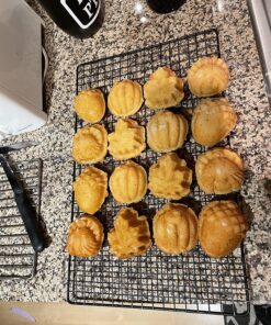 Nordic Ware Seasonal Collection Autumn Cakelette Pan 29 81OZup5EQzL