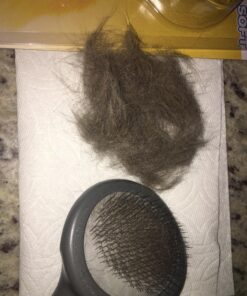 JW Petmate GripSoft Cat Brush, White & Blue, One Size 19 81Oc2zbxPYL