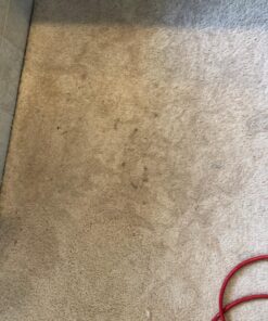 Oreck Commercial Orange Tile & Resilient Floor Scrub Brush for Orbiter Floor Machine ORB550MC, Clean Heavy-Duty Floors, 12 Inch Diameter 0.028 Inch Crimped Polypropelene Bristles, 237047, Orange Orbiter Brush 34 81OcWnQLbIL