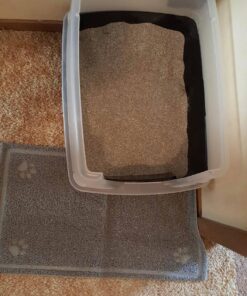 IRIS USA Open-Top Cat Litter Box with Shield and Scoop, Black Regular 41 81OjjYRchjL