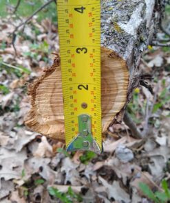 Greenworks 40V 16" Brushless Cordless Chainsaw (Great For Tree Felling, Limbing, Pruning, and Firewood / 75+ Compatible Tools), 4.0Ah Battery and Charger Included 16" (4.0Ah) Gen 1 65 81OkaiKeXdL