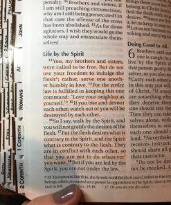 G.T. Luscombe Company, Inc. Accu-Gel Bible-Hi-Glider Bible Study Set | No Bleed Solid Gel Highlighter | No Smearing or Fading | Long Lasting Bright Translucent Colors (Set of 6) 1-Set Set of 6 64 81Olf83XSEL