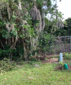 Oregon 54-026 Premium Bar and Chain Oil and Lubricant for Chainsaws, 1 Quart Bottle (32 fl.oz / 946 ml) 17 81OmHAyWDhL