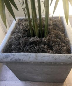 Nearly Natural 7ft. Big Bamboo Artificial Tree 84 in 32 81OnIB3sCcL