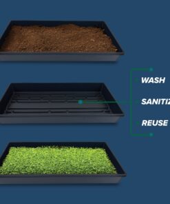 10 Plant Growing Trays (No Drain Holes) - 20" x 10" - Perfect Garden Seed Starter Grow Trays: for Seedlings, Indoor Gardening, Growing Microgreens, Wheatgrass & More - Soil or Hydroponic Black No drain holes 28 81P4XqzEyL