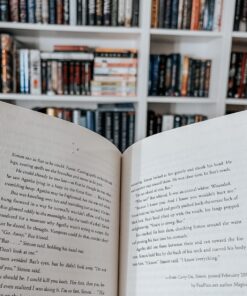 Fangirl: A Novel 16 81P4kVUydNL