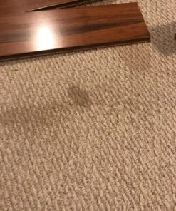 Blue Magic 900 Carpet Stain & Spot Lifter - 22 oz. Aerosol Can 36 81P8DkxJJVL