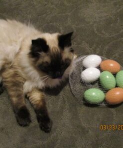 SallyFashion 7 Pcs Wooden Fake Eggs, 3 Colors Wooden Easter Egg Wood Eggs for Crafts Fake Chicken Eggs Nesting Eggs Easter Home Decor 38 81P9O3nRRHL