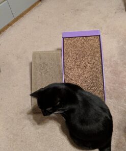 GoPets Premium Cat Scratcher - Wedge Shaped Corrugated Cardboard, Ergonomic Scratching Posts, Reversible Design, Lasts 2X Longer, with 1 Pack Catnip & Hidden Toy Cutouts for Endless Feline Play Fun 49 81PAy5ldqIL 1