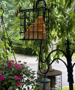 C&S Hot Pepper Delight No Melt Suet Dough 11.75 Ounces, 12 Pack Hot Pepper 12-Pack 37 81PCLsyRKL