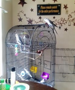 Kaytee Forti-Diet Pro Health Cockatiel Pet Bird Food, 5 Pound 5 Pound (Pack of 1) 44 81PFklZJIAL