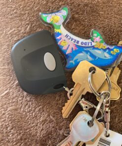 Firefly 300 multicode 3089, 3060, 3070, Compatible Keychain Remote with Better Range & You Pay Less! (Gray) 24 81PGVT7JhGL