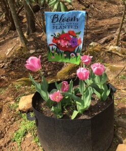 VIVOSUN 5-Pack 15 Gallon Plant Grow Bags, Heavy Duty Thickened Nonwoven Fabric Pots with Handles Black 15 Gallons 33 81PKmWxW0YL