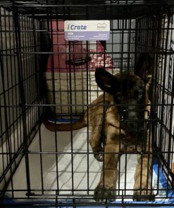 MidWest Homes for Pets Newly Enhanced Single Door iCrate Dog Crate, Includes Leak-Proof Pan, Floor Protecting Feet , Divider Pane l & New Patented Features Medium 41 81PMN1hAbWL