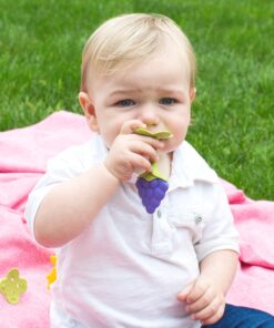Innobaby Original Teethin Smart EZ Grip Fruit Teether and Sensory Toy for Babies and Toddlers in Grape. BPA Free Teether 16 81PMQSVcxmL