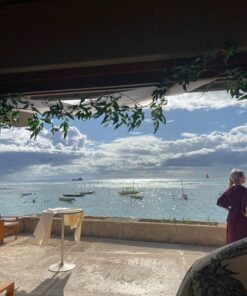 MDS Pack of 15 Yards Long Bridal Solid Sheer Organza Fabric Bolt for Wedding Dress, Fashion, Crafts, Decorations, Backdrop, Christmas Craft Supplies, Silky Shiny Organza Fabrics 44” Wide- White 15 YARD 11 81PNQb6l4aL