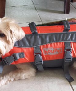 Outward Hound Granby Splash Orange Dog Life Jacket, Small Granby (Flotation) Small (Chest Girth: 16"-20") 56 81PNmJutznL