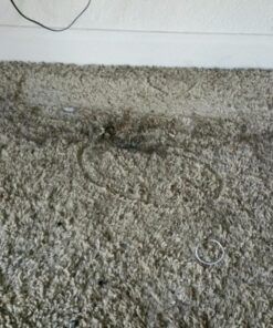 FURemover Original Indoor Pet Hair Rubber Broom with Carpet Rake and Squeegee, Black and Yellow FURemover Original Indoor Broom 39 81PTk2wtJnL