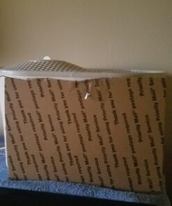 Honeywell Cool Mist Humidifier, Medium Room, 1 Gallon Tank, White – Humidifier for Baby and Kids Rooms, Bedrooms and More 21 81PbS5Rl7NL