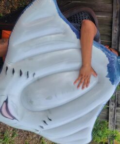 Intex Stingray Ride-On, 74" X 57", for Ages 3+ Gray 44 81PcdBKssgL