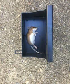 Victor M260 Indoor Multi-Kill Humane Electronic Mouse Trap - No Touch, No See Electronic Instant Kill Mouse Trap – Kills & Holds Up to 10 Mice Per Setting 1 Trap 24 81Pfyob4RL