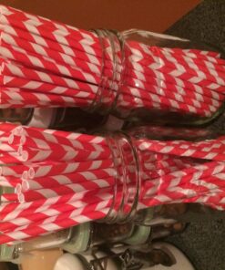 Kikkerland, Red and White Biodegradable Paper Straws, Striped, Box of 144 Red & White 22 81PjxxF6t9L