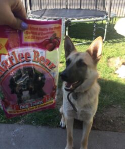 Charlee Bear Original Dog Treats, Turkey Liver & Cranberries, 16 oz 1 Pound (Pack of 1) 27 81Pl8d9rRiL