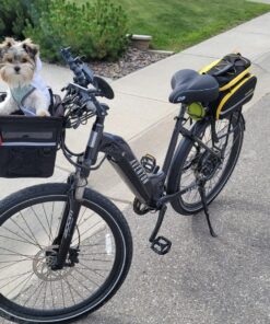 Sunlite Cloud-9 Bicycle Suspension Cruiser Saddle, Cruiser Gel, Tri-color Black 10.5" x 10.5" 23 81PqRTf1tZL