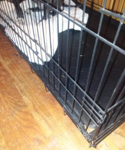 Dog Crates for Extra Large Dogs - XXL Dog Crate 48" Pet Cage Double-Door Best for Big Pets - Wire Metal Kennel Cage & Tray - in-Door Foldable & Portable for Animal Out-Door Travel 48.0"L x 29.0"W x 32.0"H 37 81PqWGDoTcL 1