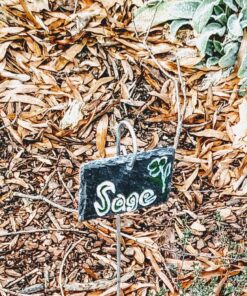 GardenMate 10-Pack Natural Style Slate Plant Labels (4"x 2 3/4") Hanging from a Stainless Steel Metal Rod (22") 10-Pack 4"x 2 3/4" Labels with 22" Metal Rod 37 81PsXEHm16L