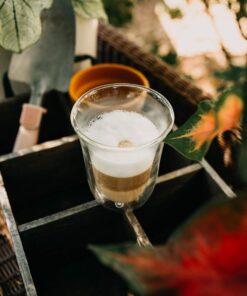 De'Longhi DeLonghi Double Walled Thermo Latte Glasses, Set of 2, 2 Count (Pack of 1), Clear, 330 milliliters Latte Glasses (set of 2) 31 81Px1r0iiAL