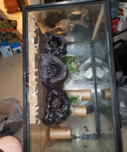 Great Stuff 283064 12OZ GS Pond&Stone Foam Sealant, Each, Black Pond & Stone 38 81Q09wi5RGL