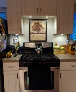 Brilliant Evolution Tap Light Push Lights 6pk w/Batteries + Remote, LED Stick On Lights Under Cabinets Battery Puck Lights with Remote - Under Counter Lighting Wireless Closet Kitchen Night Lights 6 pack (18 batteries included) 45 81Q1dZZF3oL