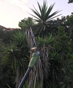 Sun Joe SWJ800E 8-Inch 6.5-Amp Telescoping Electric Pole Chain Saw with Automatic Chain Lubrication System Pole Saw 8-Inch Bar/Chain 8.7' Max. Extension 57 81Q2xj0yn9L