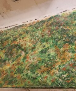 Sargent Art Acrylic Paint, 6 Count x 4 Ounce, Assorted Colors, Non-Fading, Rich Vivid Pigments, Brilliant Matte Finish, Fast Dry Formula, Non-Toxic 26 81Q3pkk0jbL