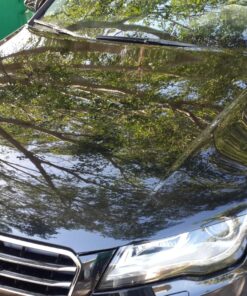 Chemical Guys GAP_619_16 Black Light Hybrid Radiant Finish, Glaze & Sealant, (Safe for Cars, Trucks, SUVs, & More) for Black and Dark Colored Cars, 16 fl oz 57 81Q5UZjPhRL