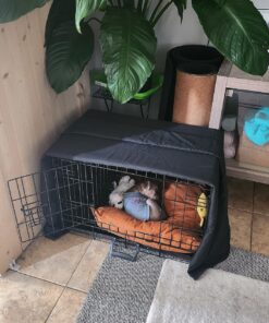 MidWest Homes for Pets Newly Enhanced Double Door iCrate Dog Crate, Includes Leak-Proof Pan, Floor Protecting Feet, Divider Panel & New Patented Features X-Small 44 81Q6l9wyw7L