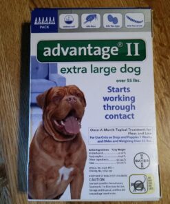 Advantage II XL Dog Vet-Recommended Flea Treatment & Prevention | Dogs Over 55 lbs. | 6-Month Supply 6-Pack 28 81Q6zD8 W4L