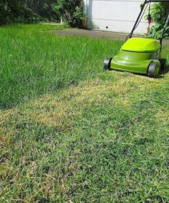 Sun Joe MJ401E 14-Inch 12-Amp Electric Lawn Mower w/Collapsible Handle for Storage, 3-Position Height Control, 10.6-Gallon Bag, Green Original Version 49 81QCnkh4 rL