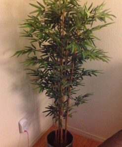 Nearly Natural 5179 5ft. Bambusa Bamboo Silk Tree, 60in. , Green 60 in 53 81QI7Ys9T2L