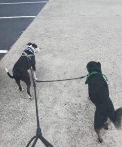 Heavy Duty 3 Dog Leash No Tangle Multiple Dog Leash Triple Dog Leash(30-200 Lbs) Double Dog Leash for 2 Dogs,360°Swivel 3 Way Dog Leash Interchangeable Two Dog Leash with Hand-Protected Handle L / For 20LBs - 150LBs Dogs Black 38 81QLjYzGu8L