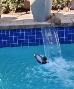 Poolmaster Adustable Chlorine Dispenser for Swimming Pools and Spas, Mallard 43 81QNsI7l2wL