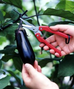 ARS Needle Nose Pruner HP-SE45, Orange 1 5 81QPGmAMYdL