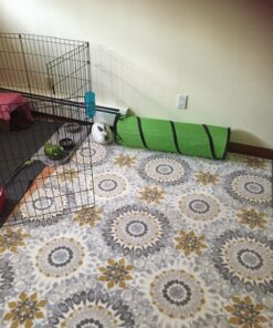 Petmate Jackson Galaxy Cat Crawl Solid Tunnel, Green/Orange 42 81QR91QrbWL