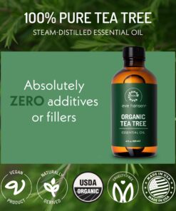 Eve Hansen Organic Tea Tree Oil (4oz) | Melaleuca Alternifolia | Pure Tea Tree Essential Oil for Skin, Scalp, Nails and Aromatherapy 26 81QSK2UbKjL