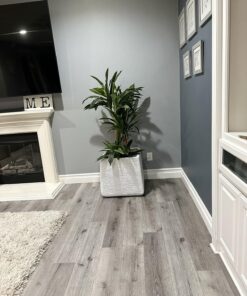 Nearly Natural - 6584 62in. Corn Stalk Dracaena Silk Plant (Real Touch), 24" x 28" x 62", Green artificial plant 55 81QSoJGKLHL