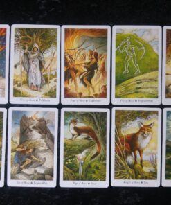 The Wildwood Tarot Deck: Wherein Wisdom Resides (Modern Tarot Library) 63 81QSztBcjXL